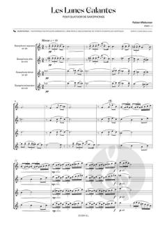 Les Lunes Galantes von Fabien Waksman 