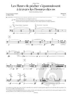 Les fleurs de pêcher s'épanouissent à travers les fissures des os von Shuhan Hu 