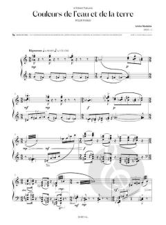 Couleurs de l'eau et de la terre von Ichiro Nodaira 