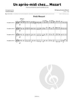 Un après-midi chez... Mozart von Catherine Baert 