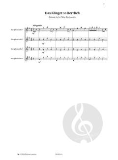 Un après-midi chez... Mozart von Catherine Baert 