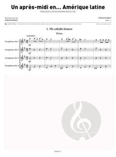 Un après midi en... Amérique latine von Catherine Baert 