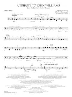 A Tribute to John Williams 