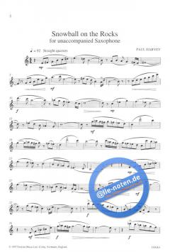 Snowball on the Rocks von Paul Harvey 