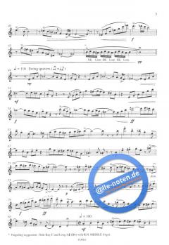 Snowball on the Rocks von Paul Harvey 