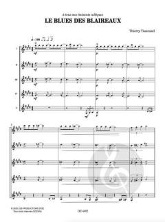 Le blues des blaireaux von Thierry Tisserand 