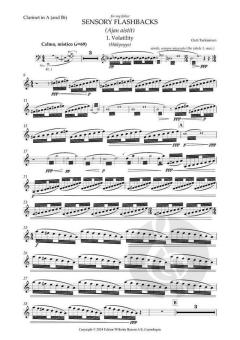 Sensory Flashbacks (Ajan aistit) von Outi Tarkiainen 