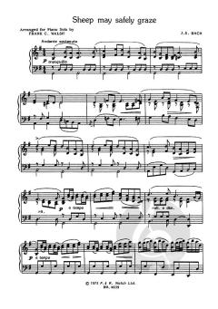 Schafe können sicher weiden von Johann Sebastian Bach 