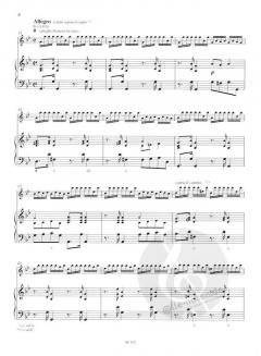 Die vier Jahreszeiten op. 8/2 RV 315: Der Sommer von Antonio Vivaldi 