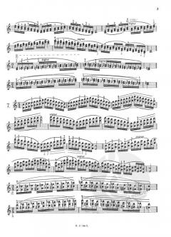 Das Skalensystem für Violine von Carl F. Flesch im Alle Noten Shop kaufen