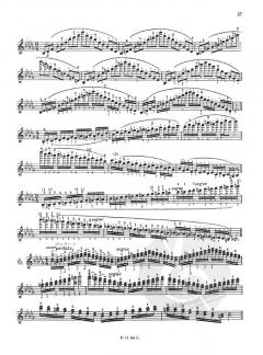 Das Skalensystem für Violine von Carl F. Flesch im Alle Noten Shop kaufen