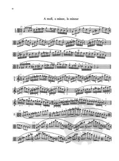 Das Skalensystem für Viola von Carl F. Flesch im Alle Noten Shop kaufen