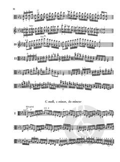 Das Skalensystem für Viola von Carl F. Flesch im Alle Noten Shop kaufen