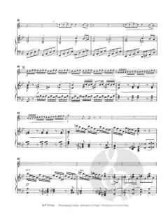 Concert Etude op. 49 von Alexander Goedicke (Download) 