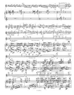 Le violon de la mort von Grete von Zieritz 