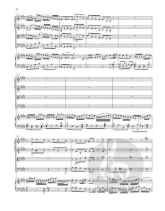 Cembalokonzert Nr. 2 E-dur BWV 1053 von Johann Sebastian Bach 