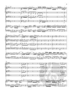 Cembalokonzert Nr. 2 E-dur BWV 1053 von Johann Sebastian Bach 