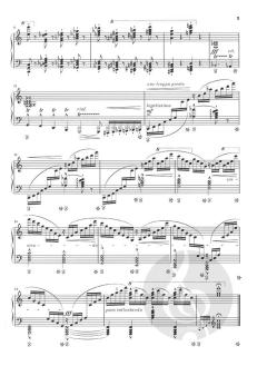 Études d'exécution transcendante von Franz Liszt 