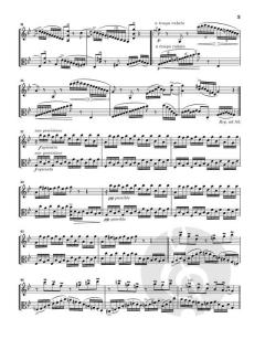 Passacaglia, Sarabande con Variazioni  von Johan Halvorsen 