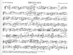 Krojovana - Polka von Jaroslav Kohoutek 
