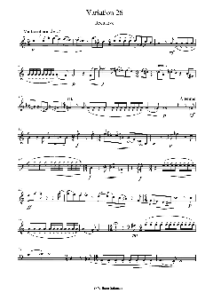 Forty Variations on an Original Theme von William Salaman 