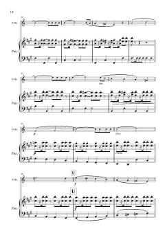 Horn Concerto in Classical Style op. 13 von Thomas McConochie 