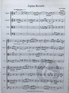 Alpine Reverie von Tim Knight 