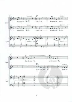 2 Festival Glorias von David Barton 