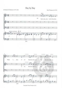 Day by Day von Peter Thompson 