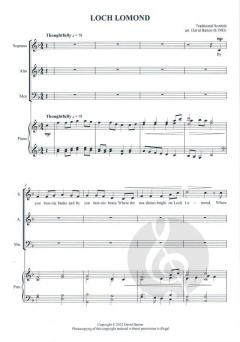 Loch Lomond von David Barton 