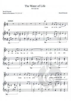 The Water of Life von David Fawcett 