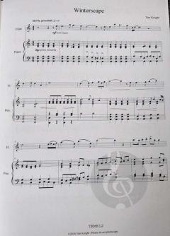 Winterscape von Tim Knight 