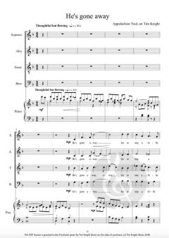 He’s Gone Away von Tim Knight 