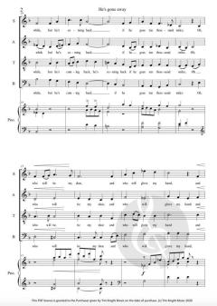 He’s Gone Away von Tim Knight 