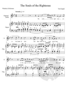 The Souls of the Righteous von Tim Knight 