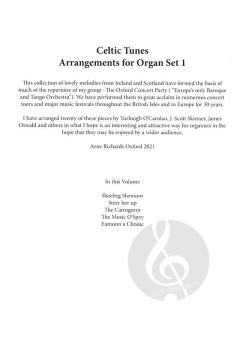 Celtic Tunes 1 von Arne Richards 