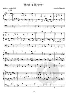 Celtic Tunes 1 von Arne Richards 