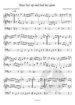 Celtic Tunes 1 von Arne Richards 