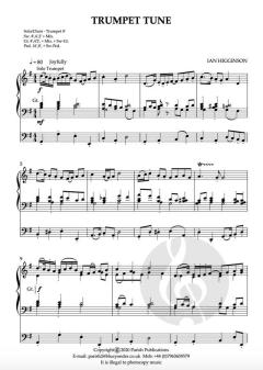 Contrasts von Ian Higginson 