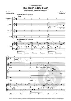 The Rough Edged Stone von Richard Nye 