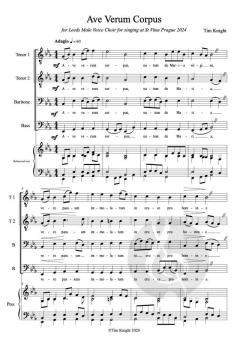 Ave Verum Corpus von Tim Knight 