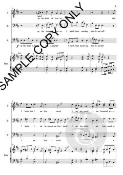 Stars von Tim Knight 