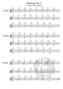 Guggi´s Daily Workout von Gottfried Hummel 