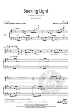 Seeking Light von Brandon Williams 