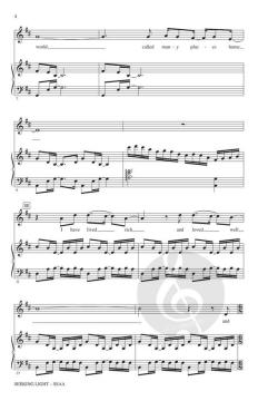 Seeking Light von Brandon Williams 