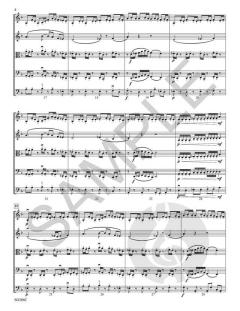 Human Enigma von Ash Madni 