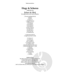 Elegy & Scherzo  von Johan de Meij 