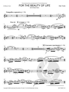 For the Beauty of Life von Stijn Roels 