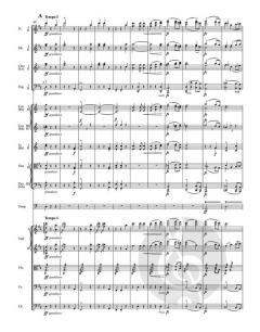 Symphonie Nr. 6 in D-Dur op. 60 von Antonín Dvořák 