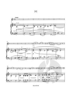 Konzert D-Dur von Wilhelm Blodek 